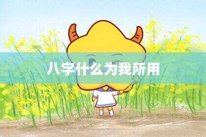 八字什么为我所用