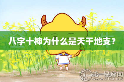 八字十神为什么是天干地支？
