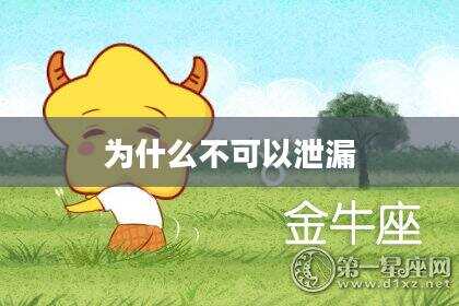 为什么不可以泄漏
