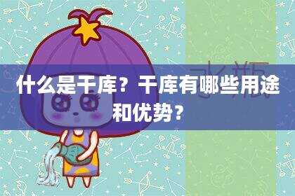 什么是干库？干库有哪些用途和优势？