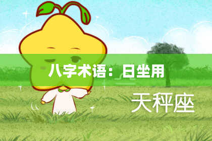 八字术语：日坐用