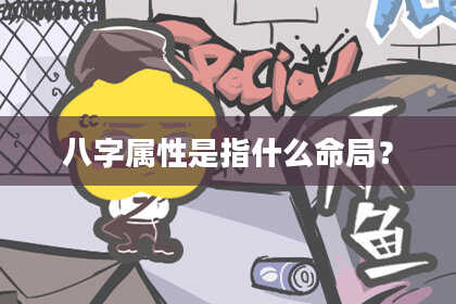 八字属性是指什么命局？