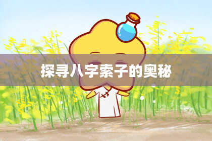 探寻八字索子的奥秘