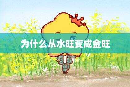 为什么从水旺变成金旺