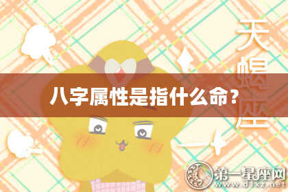 八字属性是指什么命？