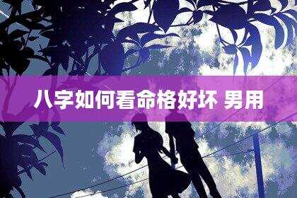 八字如何看命格好坏 男用