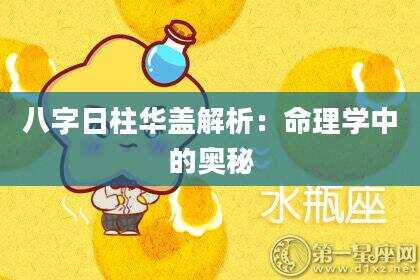八字日柱华盖解析：命理学中的奥秘