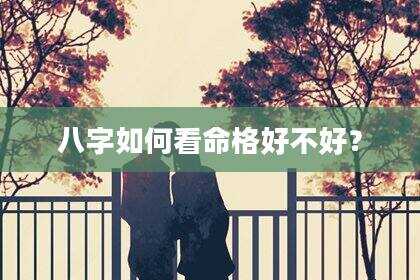 八字如何看命格好不好？