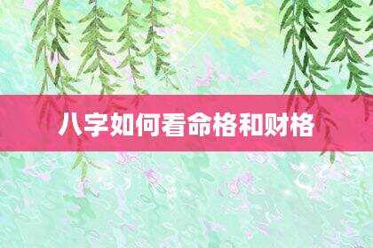 八字如何看命格和财格