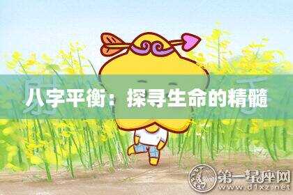 八字平衡：探寻生命的精髓