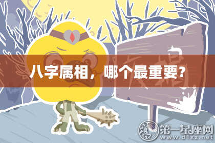 八字属相，哪个最重要？