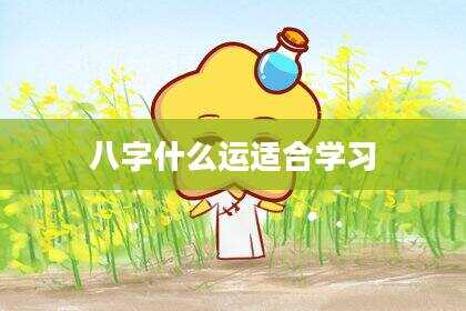 八字什么运适合学习