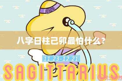 八字日柱己卯最怕什么？