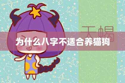 为什么八字不适合养猫狗