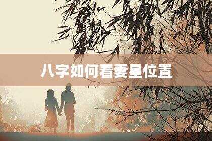 八字如何看妻星位置