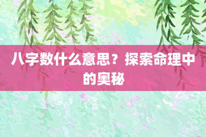 八字数什么意思？探索命理中的奥秘