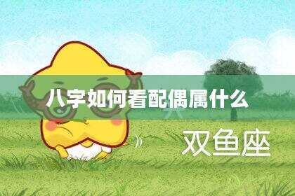 八字如何看配偶属什么