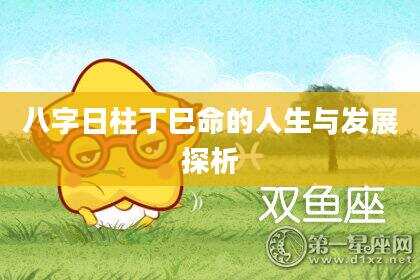 八字日柱丁巳命的人生与发展探析