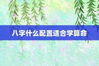 八字什么配置适合学算命