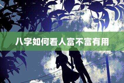 八字如何看人富不富有用