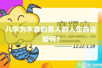 八字为木命的男人的人生命运如何？