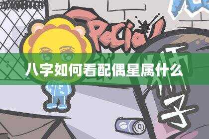 八字如何看配偶星属什么