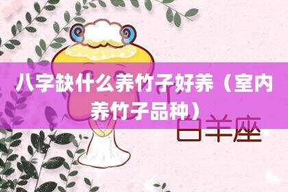 八字缺什么养竹子好养（室内养竹子品种）