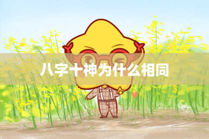 八字十神为什么相同
