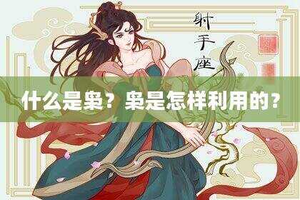 什么是枭？枭是怎样利用的？