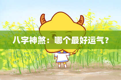 八字神煞：哪个最好运气？