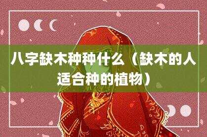 八字缺木种种什么（缺木的人适合种的植物）