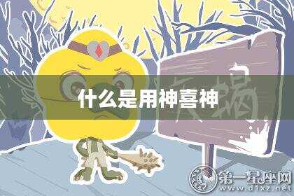 什么是用神喜神