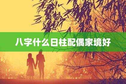 八字什么日柱配偶家境好