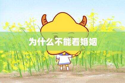 为什么不能看婚姻