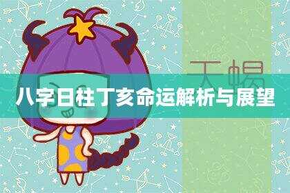 八字日柱丁亥命运解析与展望