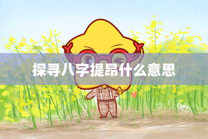 探寻八字提昂什么意思