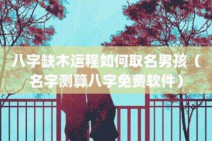 八字缺木运程如何取名男孩（名字测算八字免费软件）