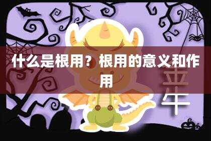 什么是根用？根用的意义和作用