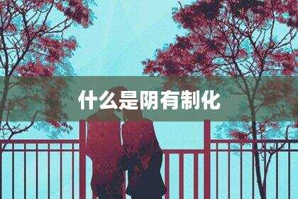 什么是阴有制化