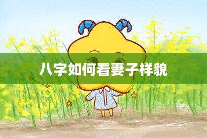 八字如何看妻子样貌