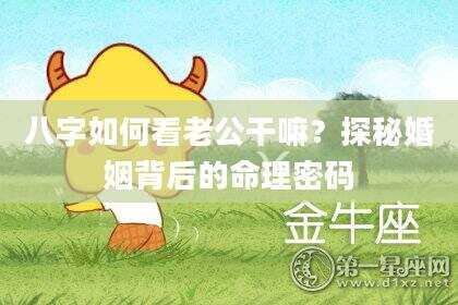 八字如何看老公干嘛？探秘婚姻背后的命理密码