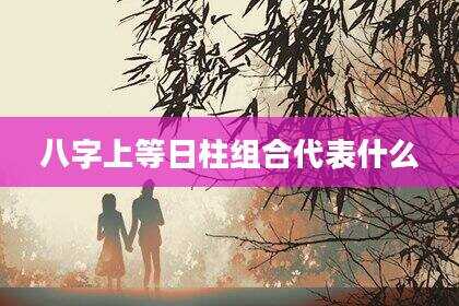 八字上等日柱组合代表什么