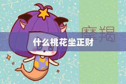 什么桃花坐正财