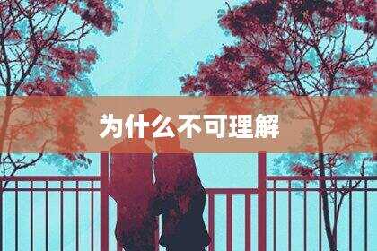 为什么不可理解