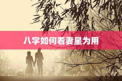 八字如何看妻星为用