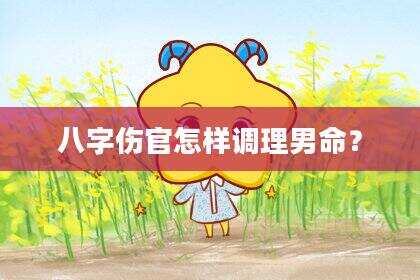 八字伤官怎样调理男命？