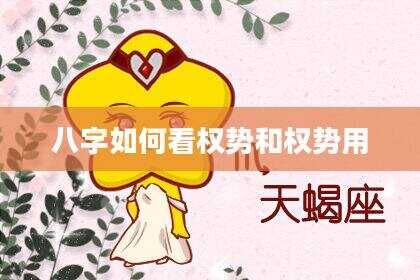八字如何看权势和权势用