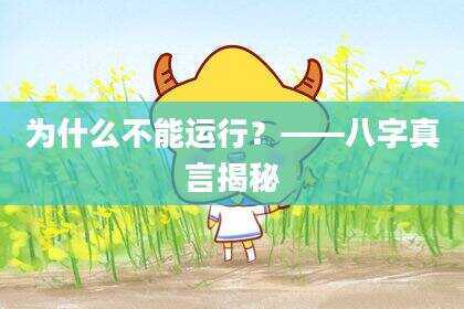 为什么不能运行？——八字真言揭秘