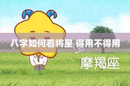 八字如何看将星 得用不得用