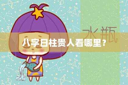 八字日柱贵人看哪里？